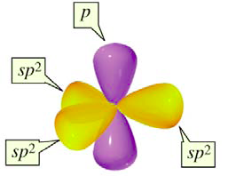 Carbon atom with sp2 orbitals and a 2p orbital